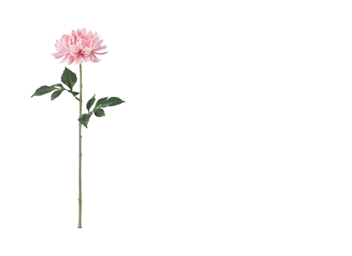 IKEA Family - Product Offers SMYCKA